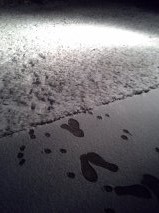 footprints
