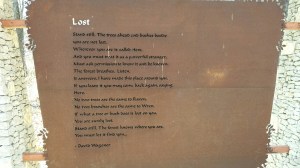 poem lost